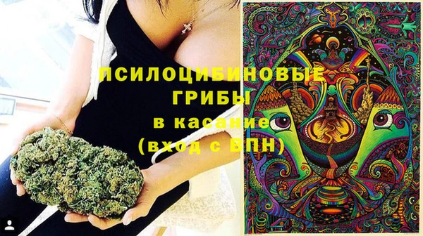 кокс Алексин