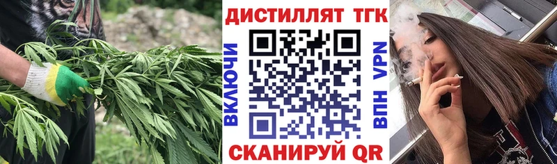 купить наркотик Пугачёв Дистиллят ТГК гашишное масло